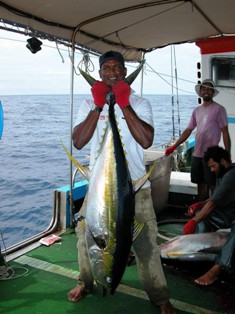 Seychelles’ semi-industrial fisheries will get a big boost with the launch of the new development fund (Photo courtesy SFA)