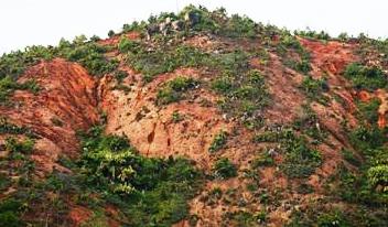 A typical sight of soil erosion on Praslin which represents almost half of the island