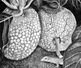 One of Daryl’s striking paintings -- a couple of green breadfruit and lizard