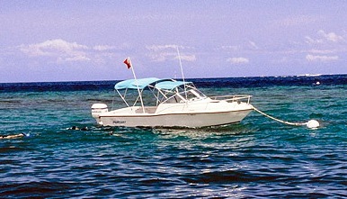 Mooring buoys can help to eliminate the destruction of corals reefs