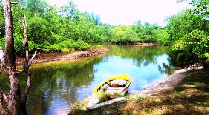 Seychelles first Ramsar site at Port Launay