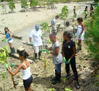 Children rehabilitating a wetland