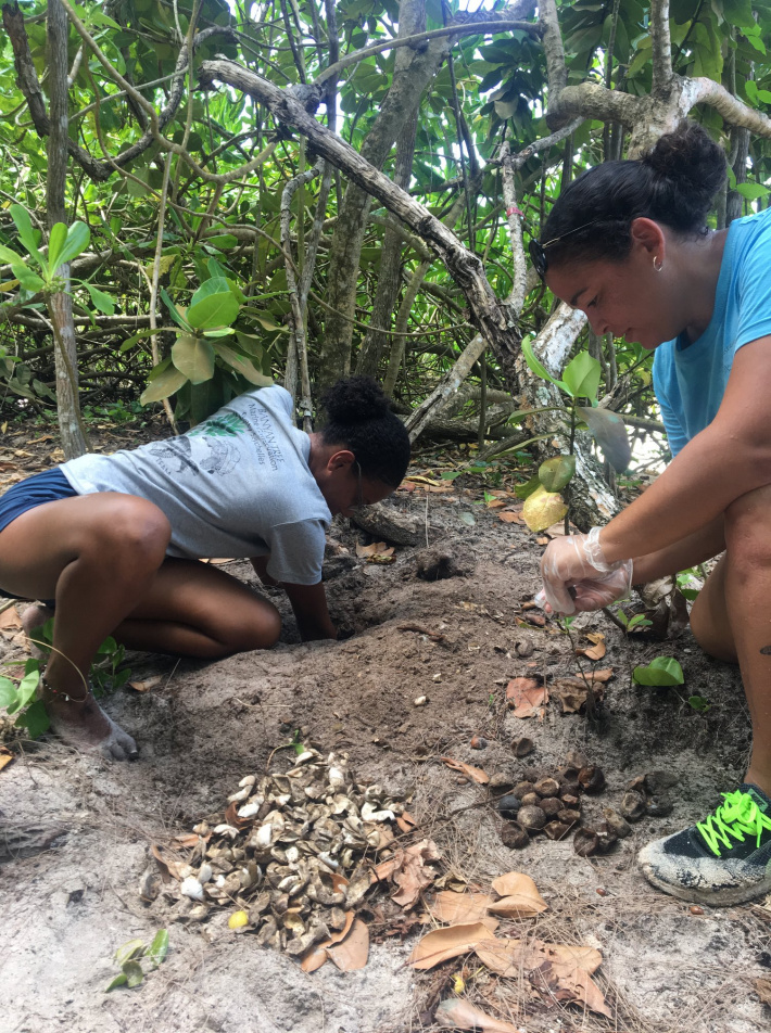 Collaborative conservation - Seychelles Nation