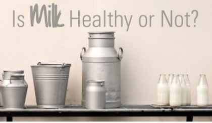 World Milk Day     ‘Milk is the most valuable contributor of constitutive components for the body’s growth’