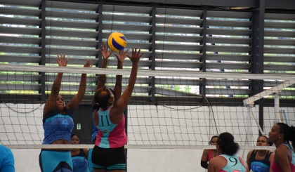 Volleyball: National League