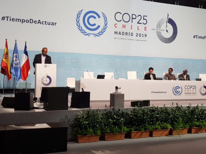 UN Framework Convention on Climate Change, 25th Conference of Parties