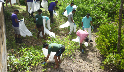 Constance Ephelia Resort marks World Wetlands Day with mangrove clean-up