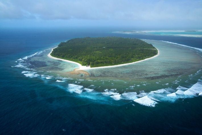 Endangered humphead wrasse thrive in new Seychelles marine protected areas