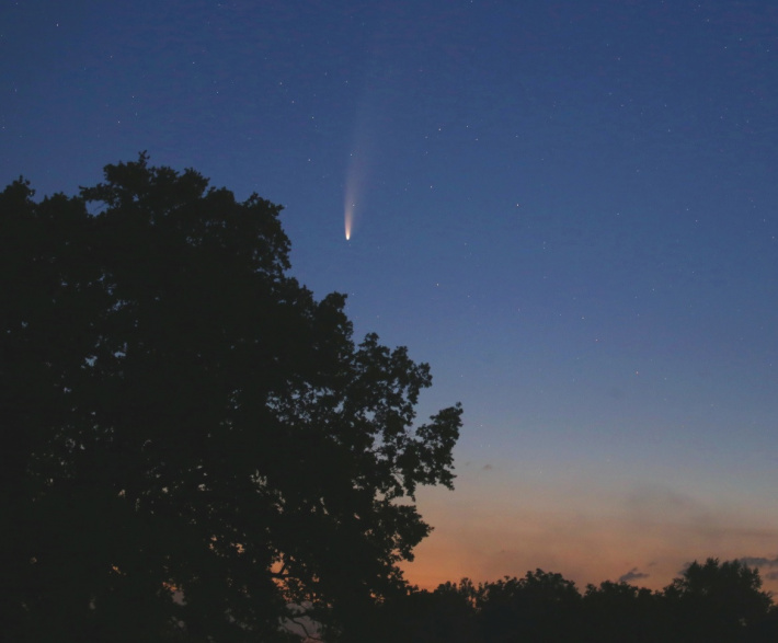 Comet Neowise to dazzle us in the twilight sky