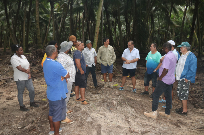 Farmers get to see Coetivy’s potential for large scale agriculture