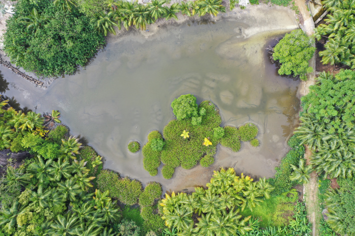 A ghosted marshland of Silhouette Island