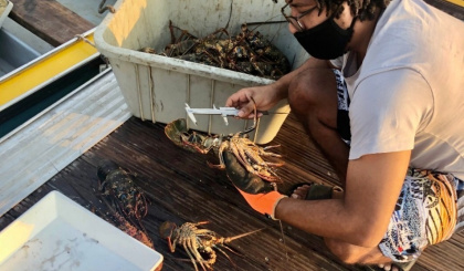 Lobster season extended to April 20