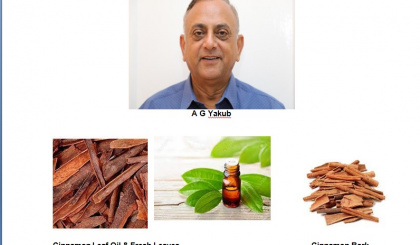 A brief history of cinnamon
