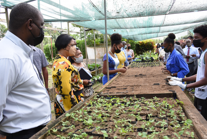    A new combo of training, employment and industry to boost the agricultural sector   