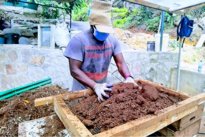 Chat with Bob Benoni, a Norwegian lover of Seychelles     ‘I always make sure when I come to Seychelles I volunteer for the environment’   