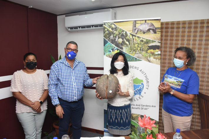 Thai ambassador plants coco-de-mer seedling in Botanical Garden ...