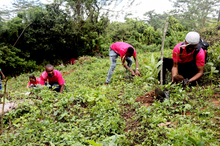 Gran Kaz staff plant trees for World Environment Day