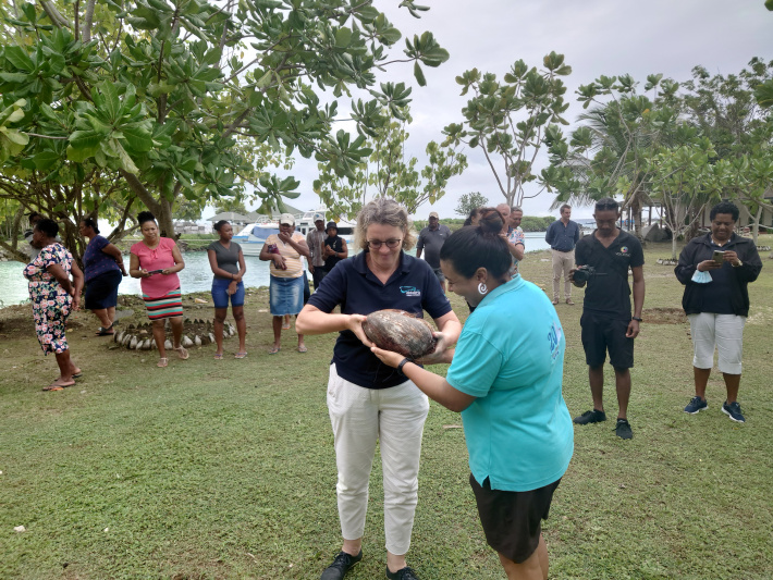 ICS boosts propagation of coco-de-mer on Silhouette Island with nut planting activity