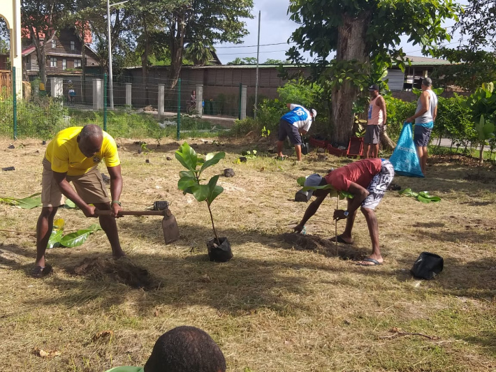 Outsiders Volleyball Club players plant 100 saplings on La Digue