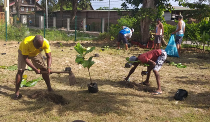 Outsiders Volleyball Club players plant 100 saplings on La Digue