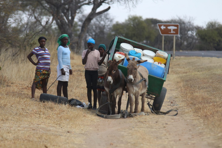 Regional dialogue on accountability puts the spotlight on health, agriculture, women & youth