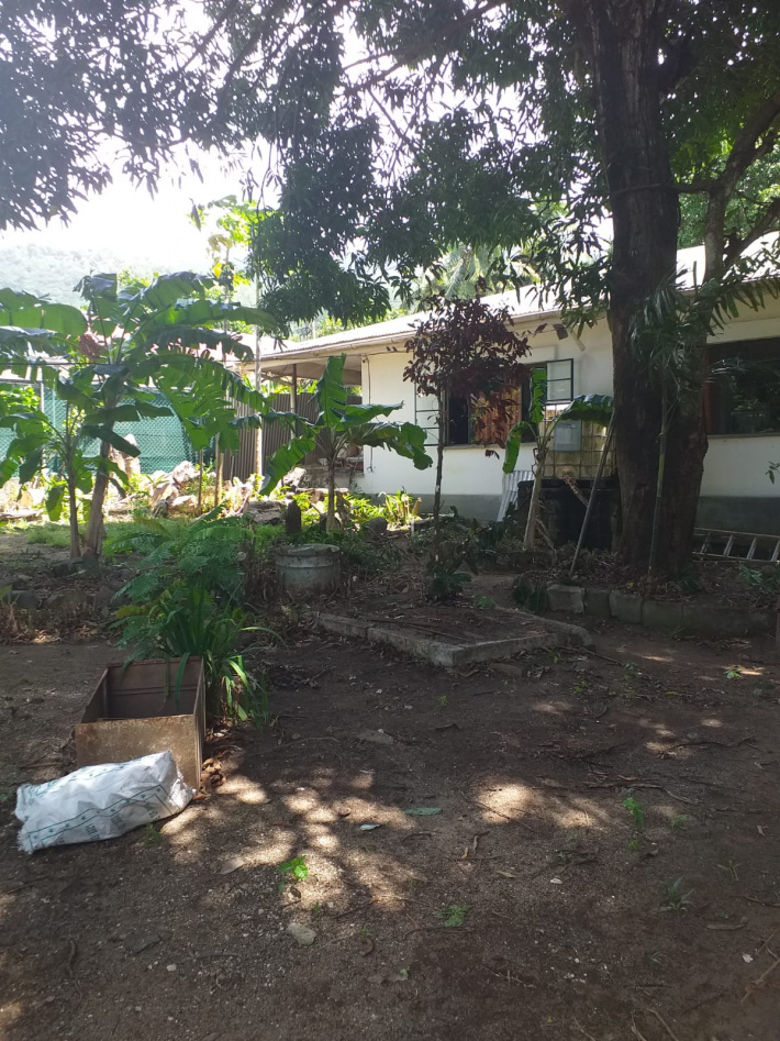 Clean Up The World:   Family department and Seychelles Defence Forces team up to beautify elderly gentleman's residence