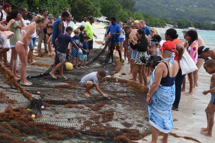 ‘Lansman Lasezon Kreol’ Beau Vallon