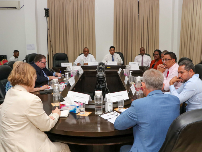 International affairs committee meets with EU delegation