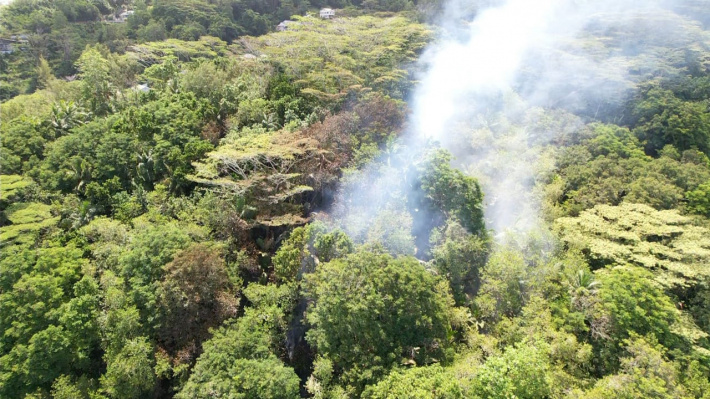 Authorities launch investigation into Pointe Au Sel bush fire