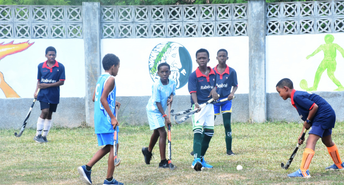 Hockey: Primary School Jamboree