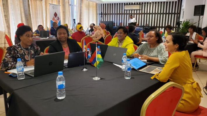 Sylvanne Lemiel, Doyace Porice attend ‘redynamisation de la plateforme des femmes en politique de l’Océan indien’ seminar