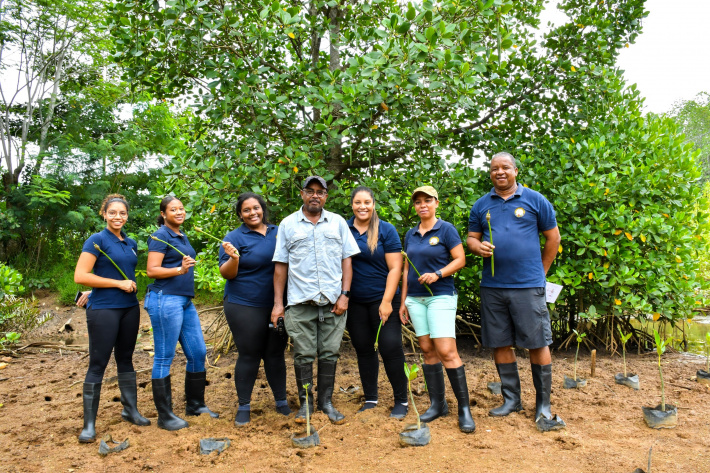 Environmental Policy Implementation Committee of the National Assembly visit Anse Royale mangroves   