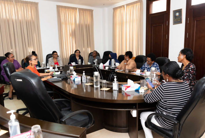 The women’s parliamentary caucus of the National Assembly meet with Minister Francourt