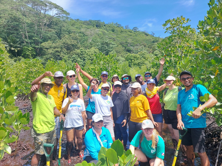 Mangroves and seagrasses restoration actors of the Western Indian Ocean region to benefit from Seychelles’ experiences