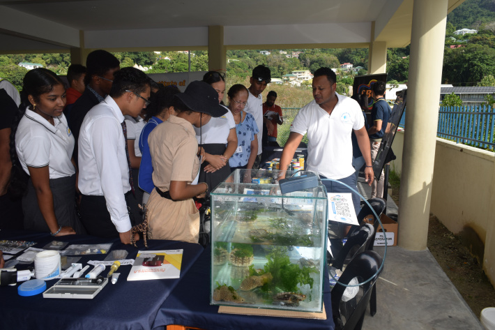 Secondary students exposed to career opportunities through school fairs