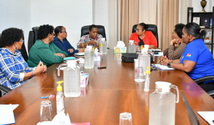 Women’s Parliamentary Caucus discusses domestic violence with ministerial stakeholders