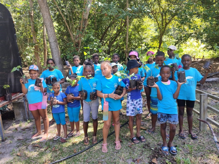 BSA primary’s Eco Club discovers Curieuse Island’s mangrove forest