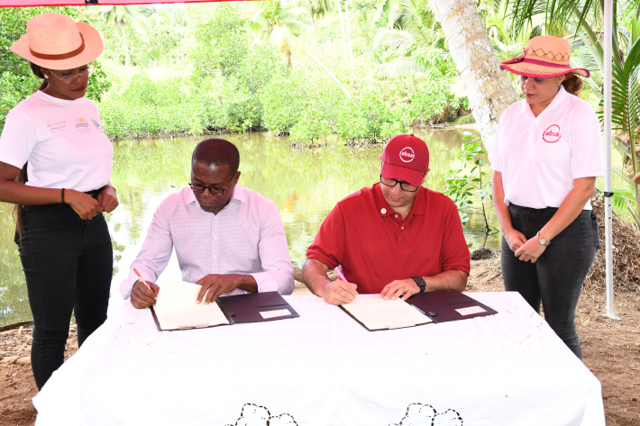 Absa Seychelles adopts and rehabilitates Petit Barbarons Wetland   