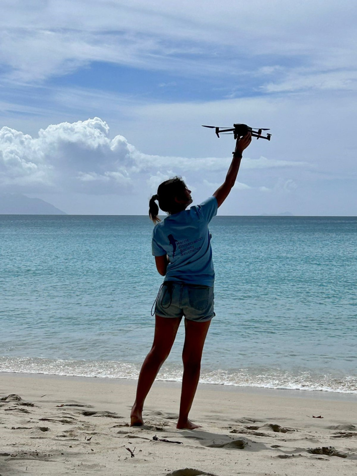 Conservationists revitalise whale shark monitoring in Seychelles with