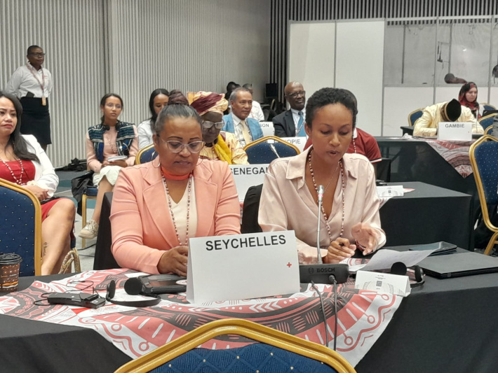 10th Pan African Conference