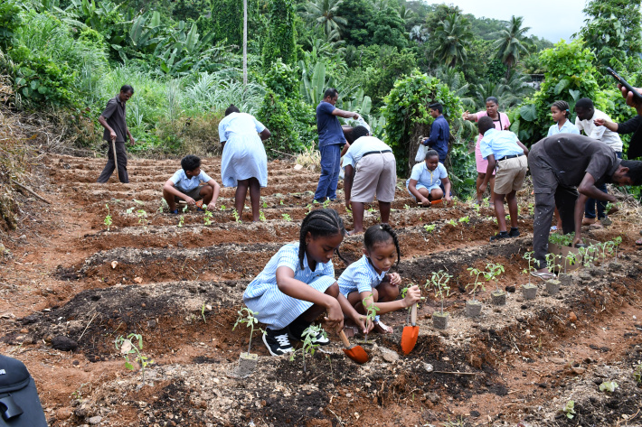 Hilton Northolme launches educational garden