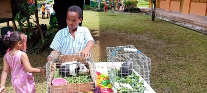 Port Glaud pupils celebrate animals worldwide through their ‘Animal Day Activity’