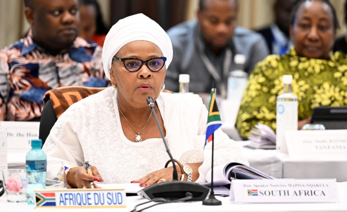 South Africa calls for SADC action to end Gaza conflict