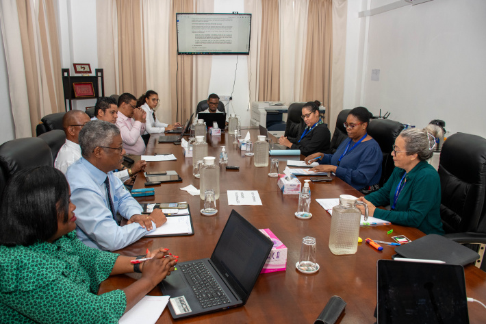 Assembly’s International Affairs Committee reviews Samoa Partnership Agreement