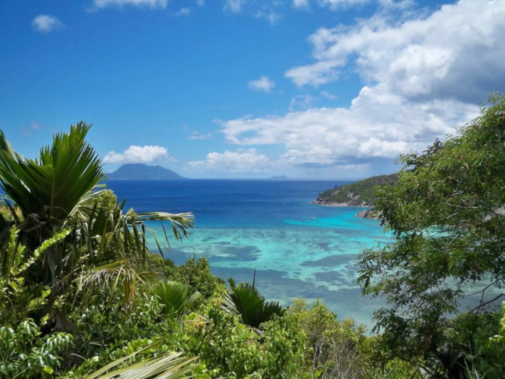 GVI aims to raise $5,000 for coral reef conservation project in Seychelles