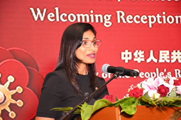    Ambassador Lin Nan welcomed during Chinese Spring festival reception