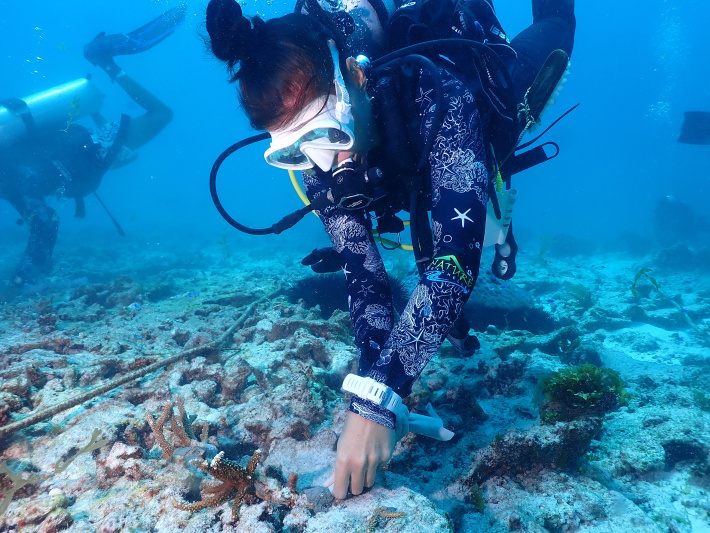 Africa's first regenerative coral aquaculture facility being built on Praslin island