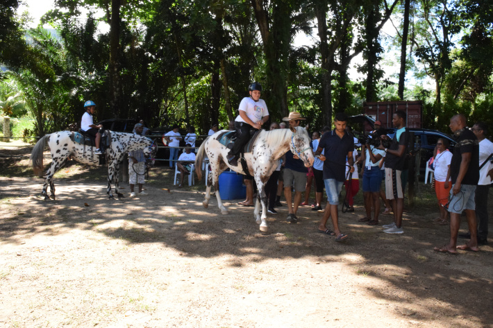 Fun-filled day for children at Turquoise Horse Trails