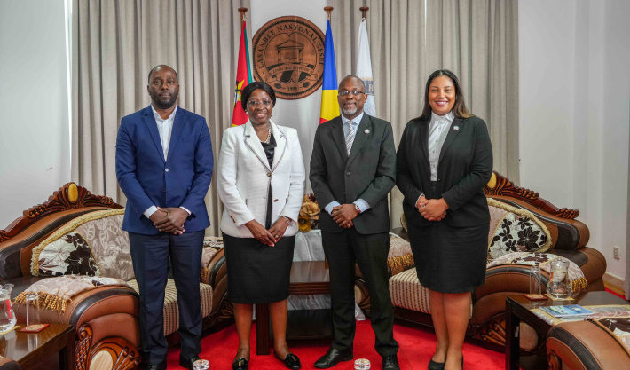 Newly accredited HC of Mozambique pays courtesy calls on deputy Speaker