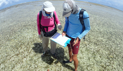 New study sheds light on the distribution of seagrass in Seychelles’ EEZ
